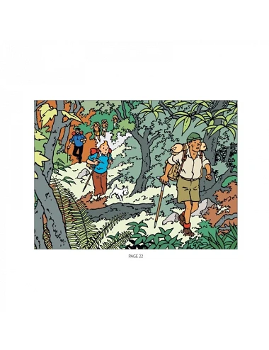 Coloring book – Tintin in...