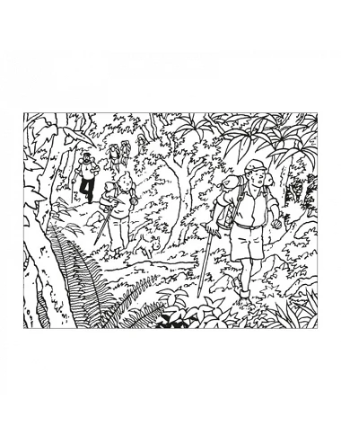 Coloring book – Tintin in...